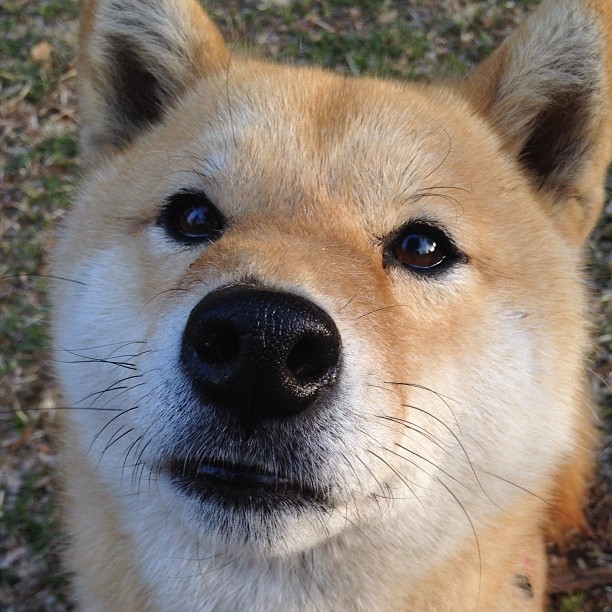 -绝境重生！魔术爆冷客场掀翻北京，小贾伦关键先生爆发定乾坤