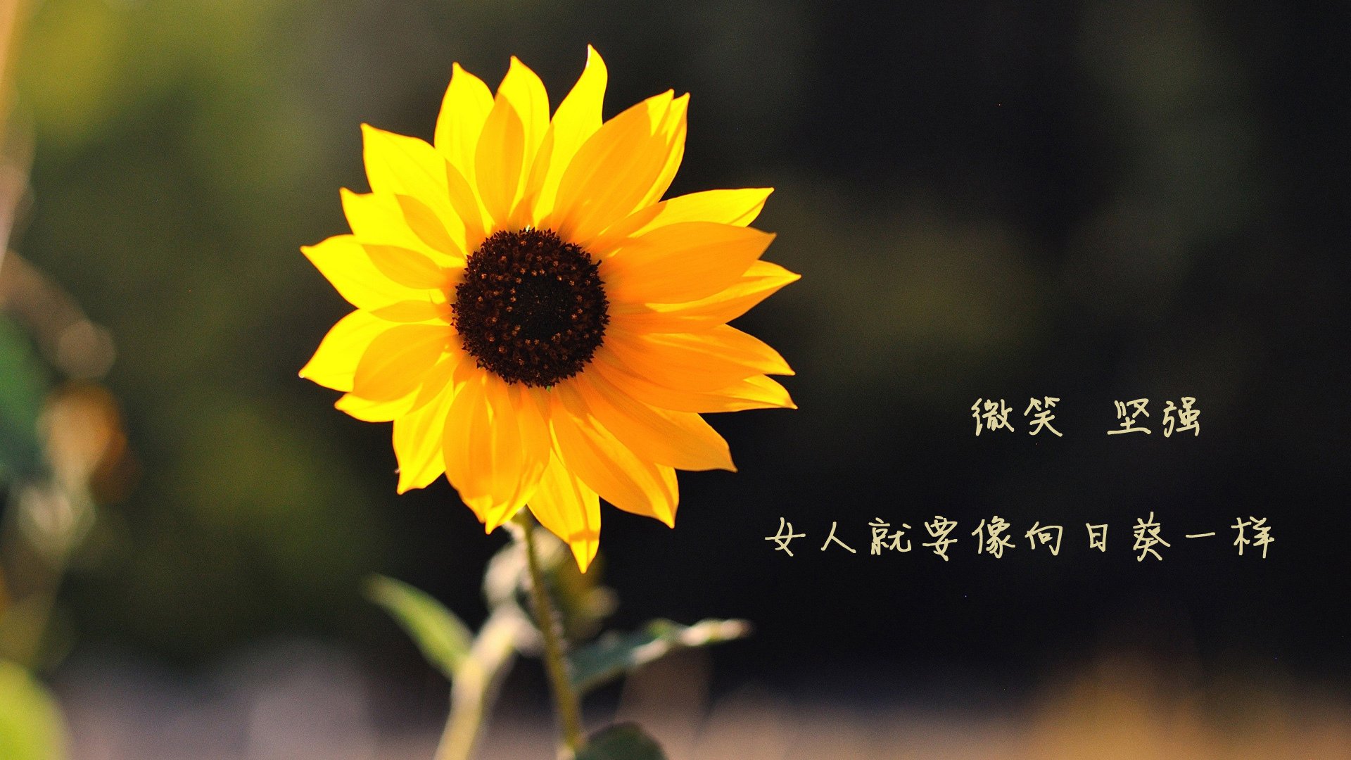 冰与火,当热火鏖战魔术,文班亚马在巴黎刷新纪录