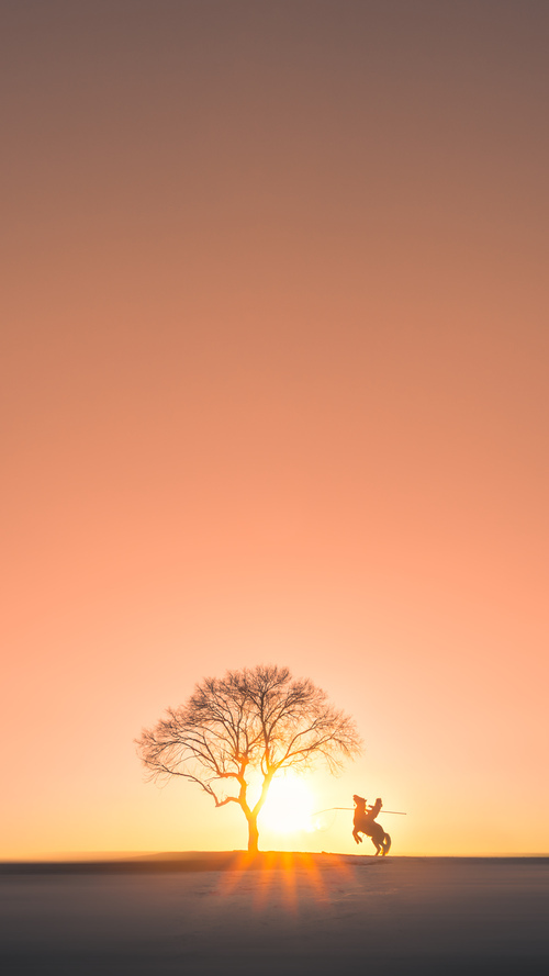 体育登录-双星闪耀东西半球，雷霆山西遥相辉映，小贾伦欧冠之夜化身关键先生
