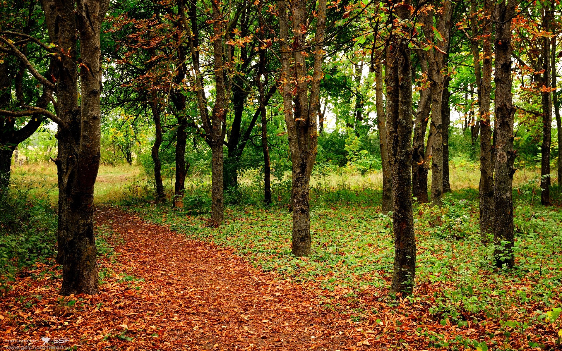 体育官网-绝境双响！拉亚三分钟两球改写剧本，韩国2-2加纳生死线复活