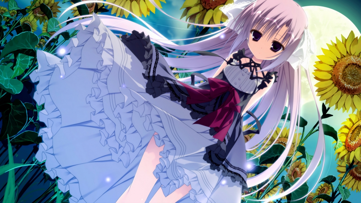 当天山雪豹遭遇海湾飞翼，布克的连续得分如何撕裂两个世界的想象边界