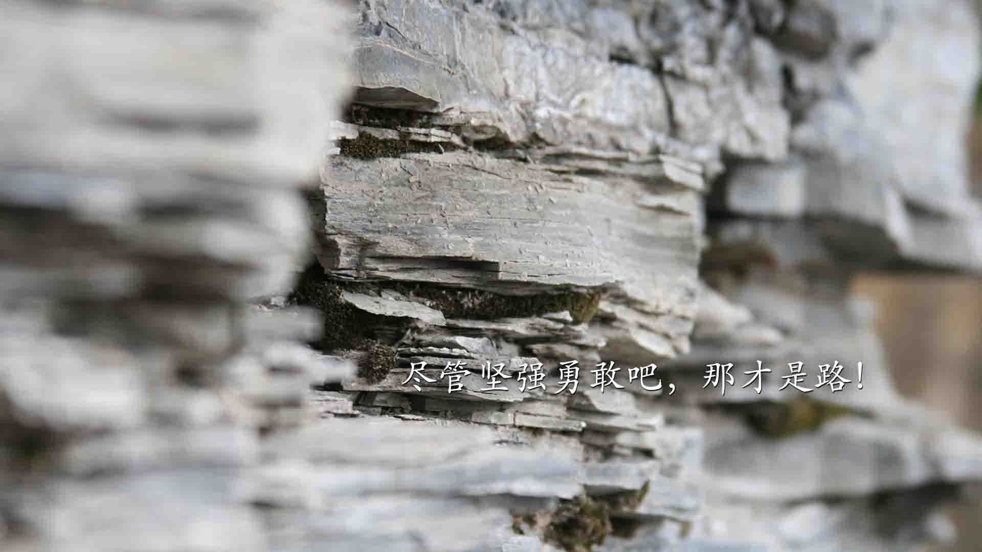 蓝白压境下的孤勇者，2026世界杯E组，阿根廷的秩序与C罗的不屈独舞