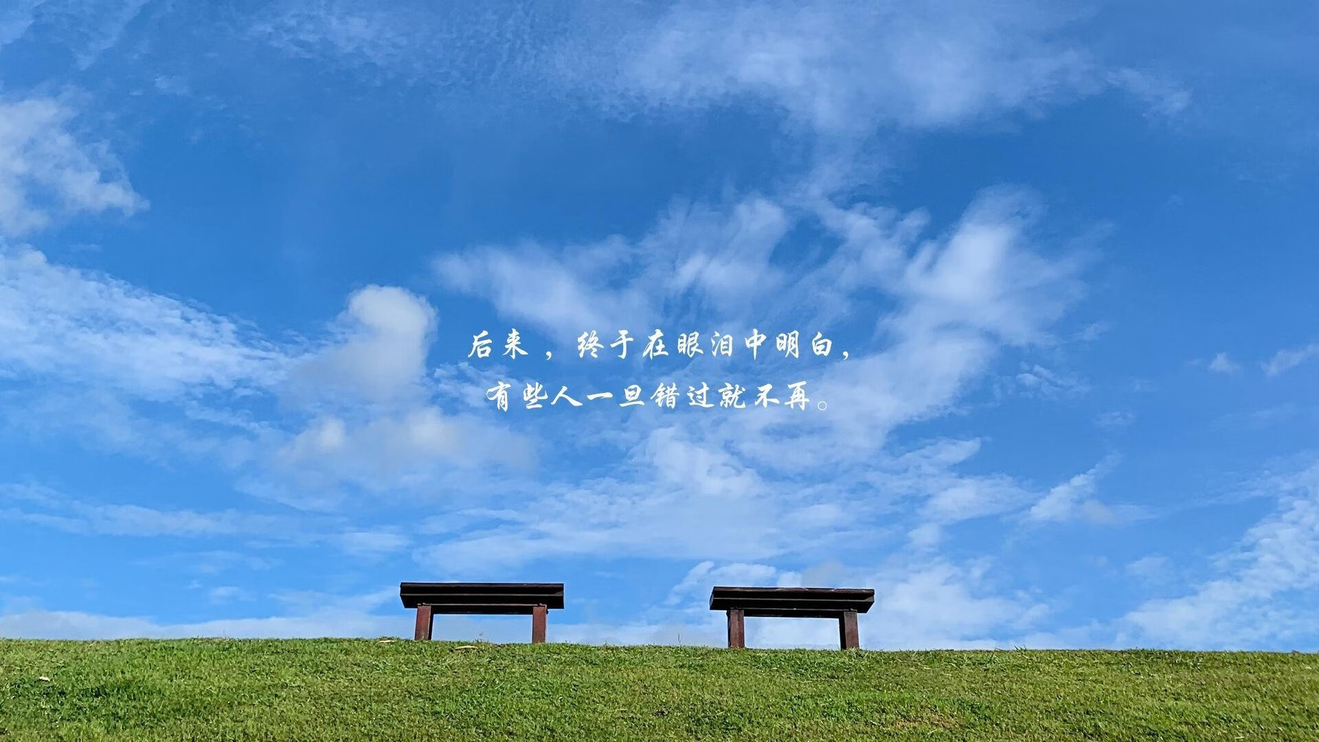 开云APP-瞬变间的王者，坎塞洛如何用攻守转换定义世界杯焦点战
